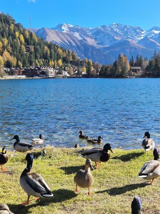 Superbe Appartement Champex-Lac Avec Piscine Et Sauna Exteriér fotografie